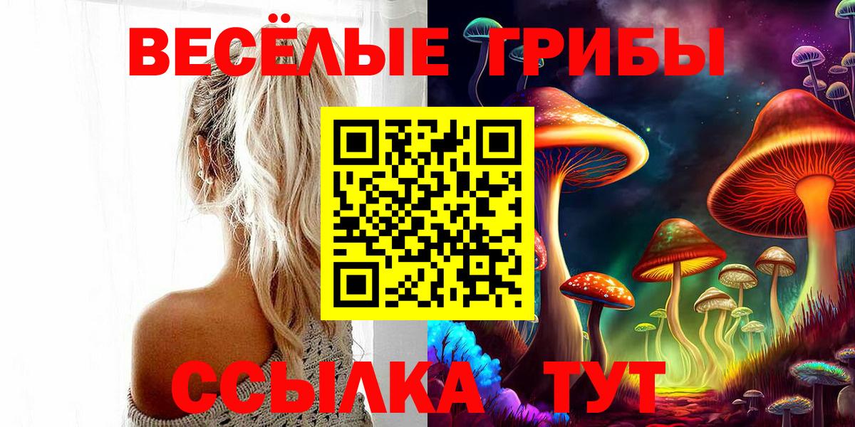 Галлюциногенные грибы мухоморы  Вход с VPN  Черкесск 